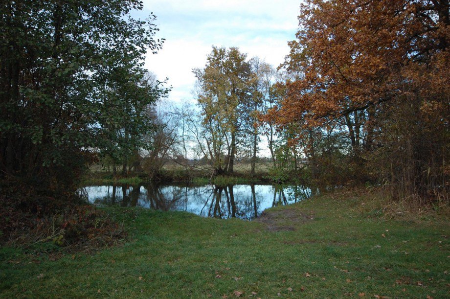 Badestelle an der Spree Wohngrundst�ck Neu Zittau