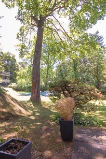 Blick von der Terrasse in den Garten Gro�z�gige, helle Wohnung im Grunewald mit eigener Garage!