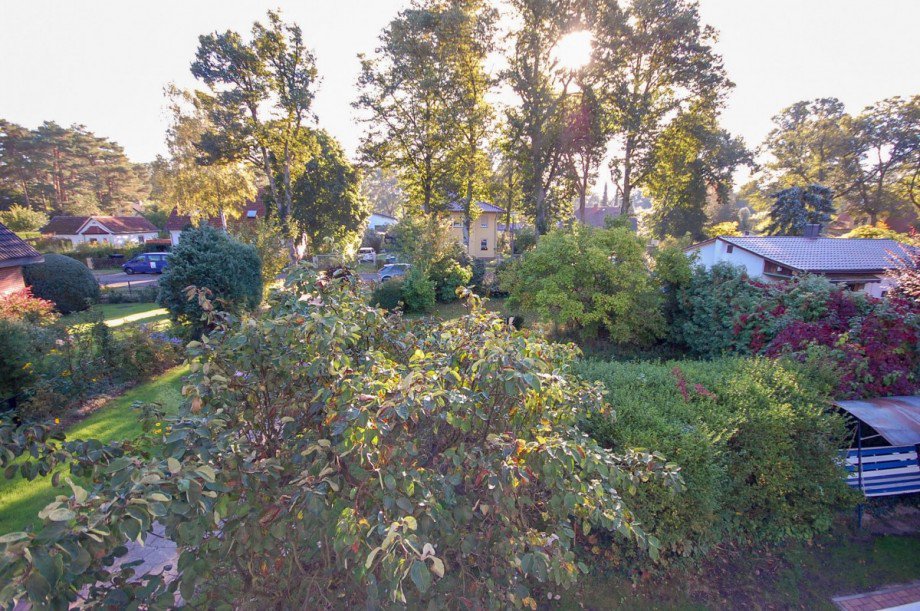 Blick vom Balkon Einfamilienhaus Berlin