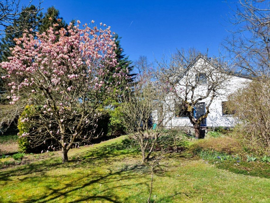 Gartenansicht Einfamilienhaus Neuenhagen bei Berlin