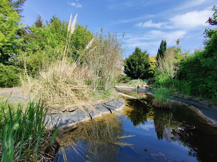 Teich Einfamilienhaus Erkner