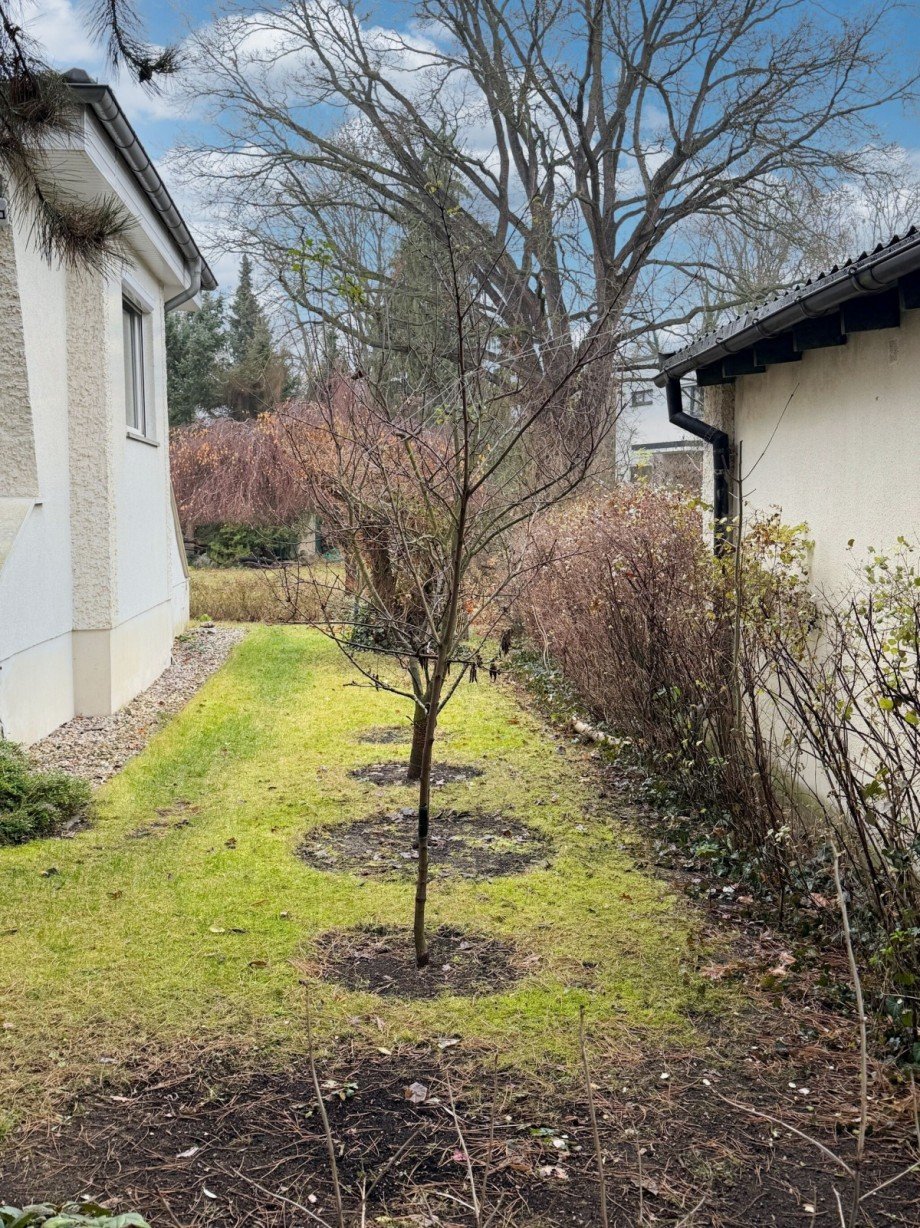 Zugang zum Grundst�ck Wohngrundst�ck Berlin