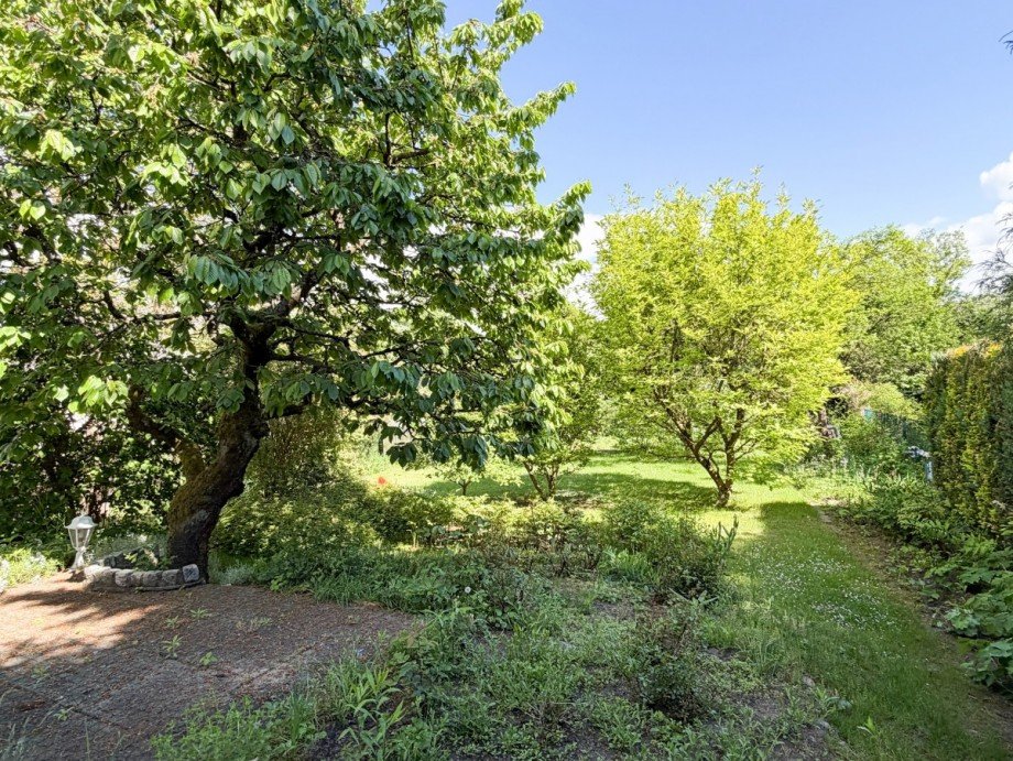 Garten Einfamilienhaus Neuenhagen bei Berlin