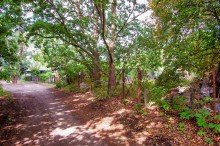 Frontansicht Grundst�ck VERKAUFT: Bauplatz direkt am Bretterschen Graben in Erkner!