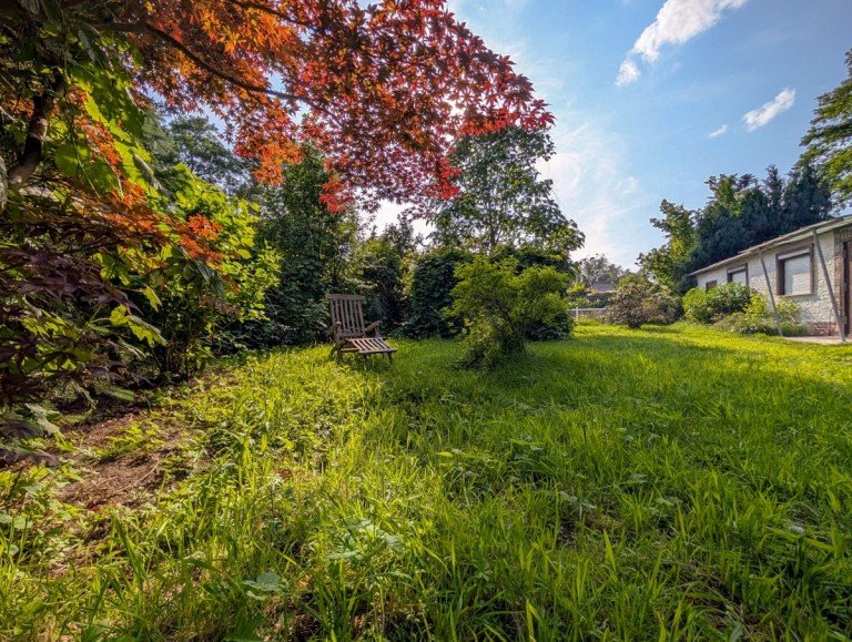 Blick auf das Grundst�ck Berlin - Rahnsdorf Freizeitgrundst�ck Verkauft! Idyllisches Freizeitgrundst�ck mit schickem Tinyhaus und Platz f�r ein weiteres!