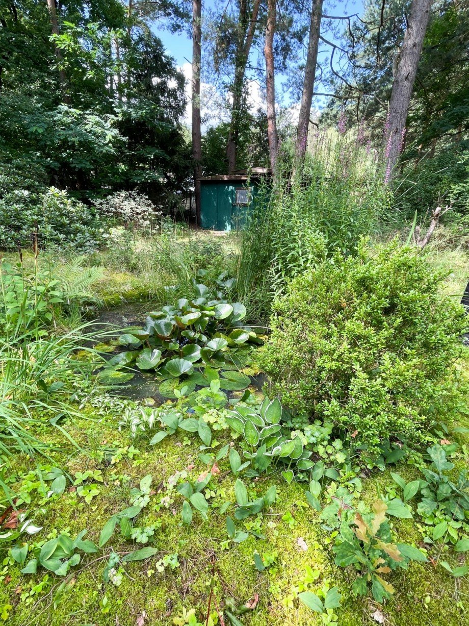 Grundst�ck Freizeitgrundst�ck Kremmen