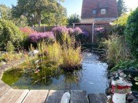 Hauptbild Ein Zuhause mit Herz und Hand - gestalten Sie Ihre Familienoase in Neu Zittau!