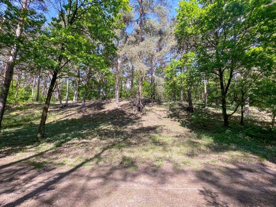 Blick in die P�ttberge vom Grundst�ck Etagenwohnung Berlin