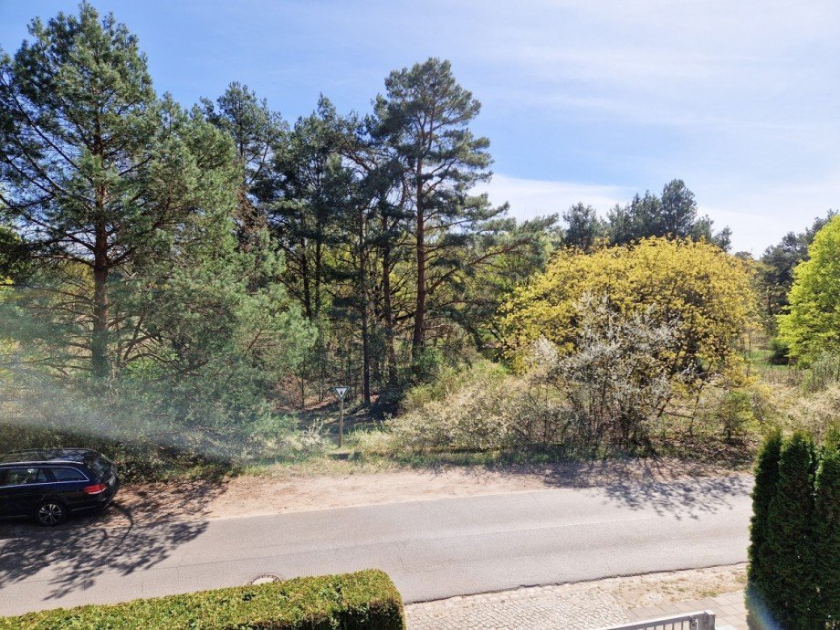 Blick aus OG ins Naturschutzgebiet Maisonettewohnung Berlin