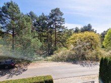 Blick aus OG ins Naturschutzgebiet Rahnsdorf: Lichtdurchflutete Doppelhaush�lfte. Ihr neues Zuhause?