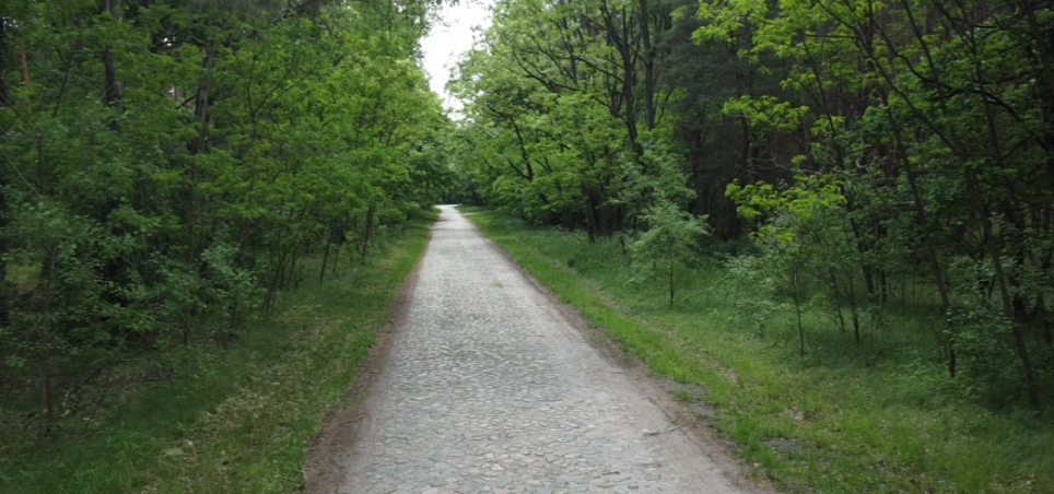 Zuweg zur Waldfl�che, kaum befahren (Sackgasse) Gewerbegrundst�ck Wulkow