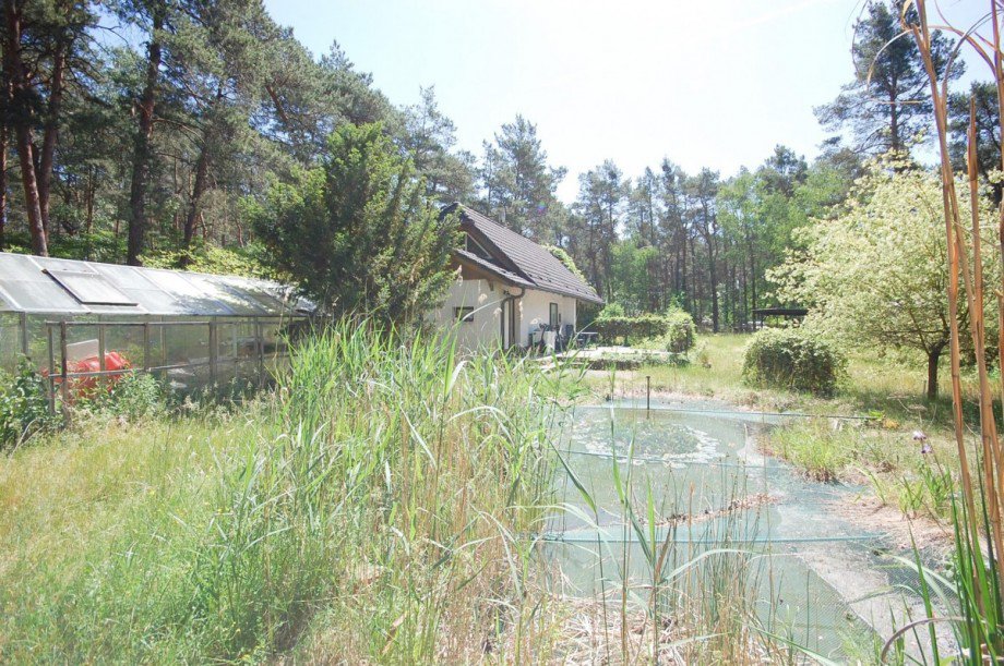 Blick vom hinteren Grundst�ck Haus Gro� K�ris