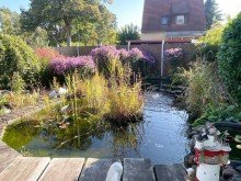 Teich Ein Zuhause mit Herz und Hand - gestalten Sie Ihre Familienoase in Neu Zittau!