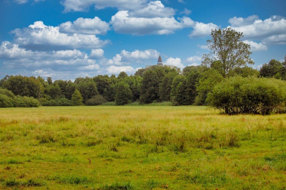 Blick �ber die Wiesen Wohngrundst�ck Erkner