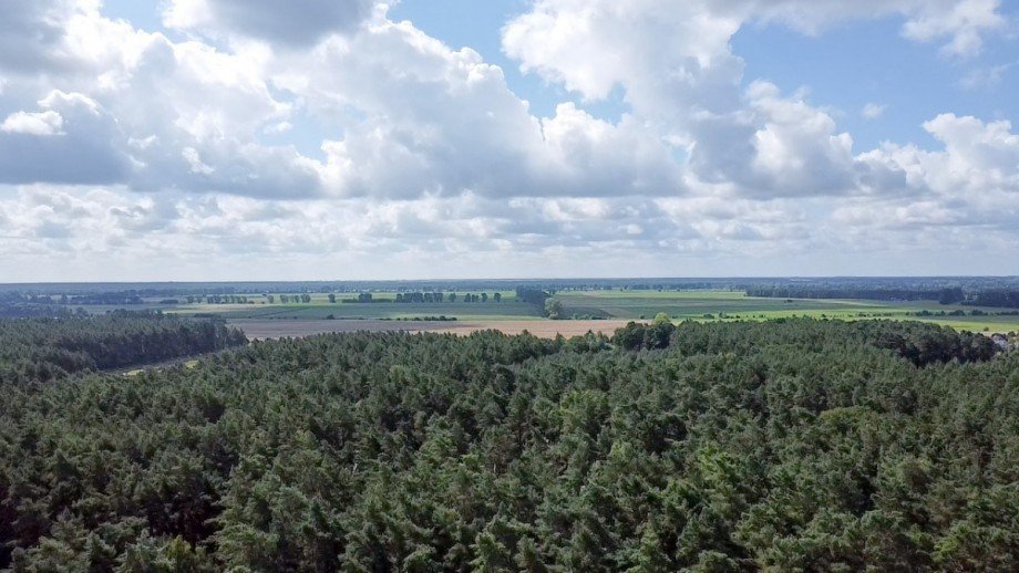 Umgebung von oben Freizeitgrundst�ck Kremmen