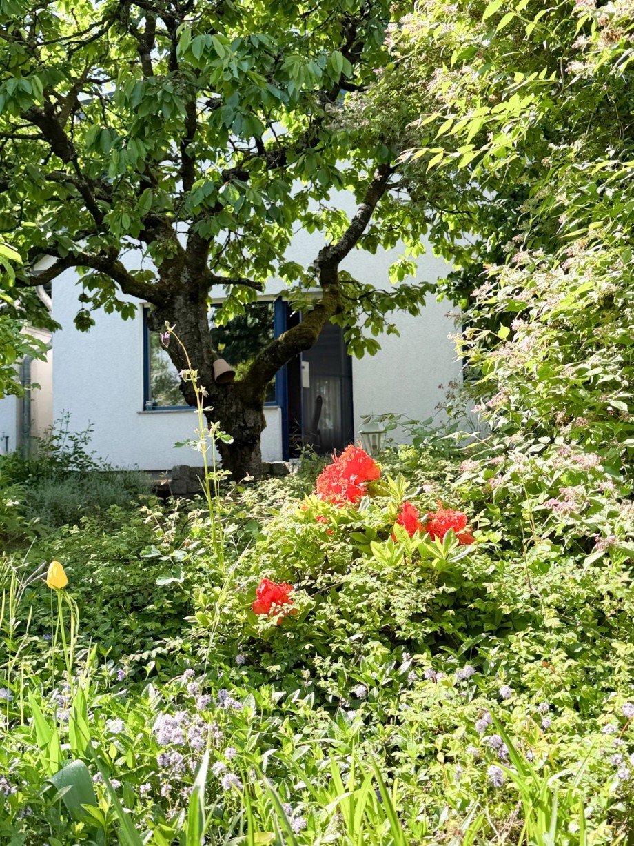 Garten Einfamilienhaus Neuenhagen bei Berlin