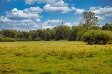 Blick �ber die Wiesen VERKAUFT: Bauplatz direkt am Bretterschen Graben in Erkner!