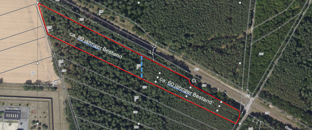 Abgrenzung 60 j. Bestand zu 90 j. Bestand Gewerbegrundst�ck Wulkow