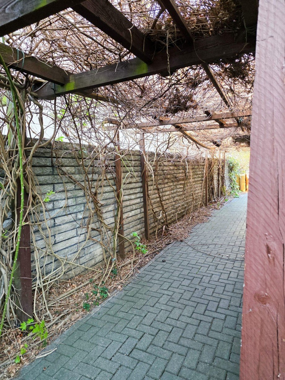 Weg zum Pool Einfamilienhaus Berlin
