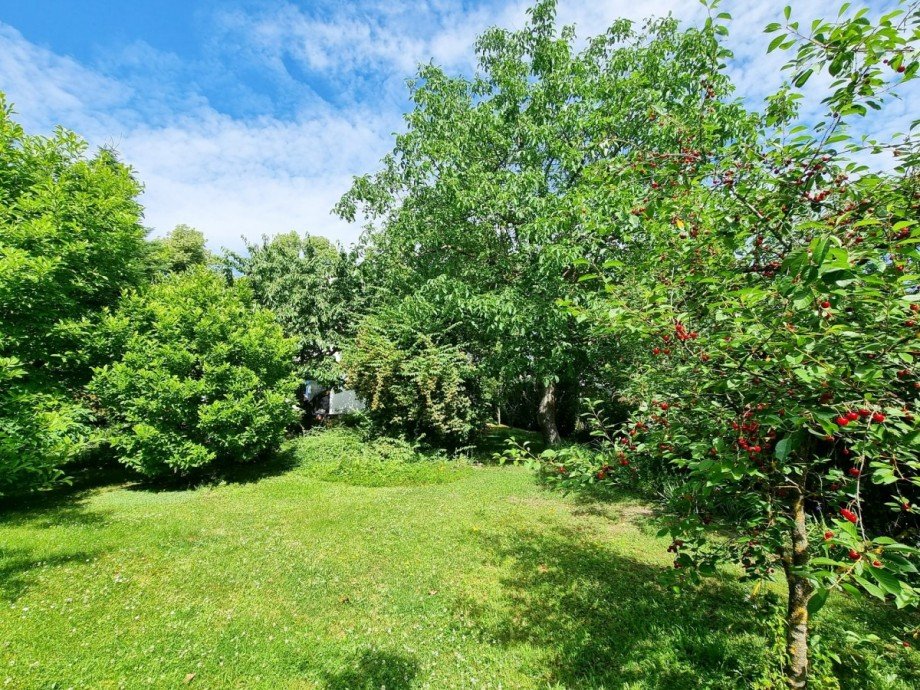 Garten Einfamilienhaus Neuenhagen bei Berlin